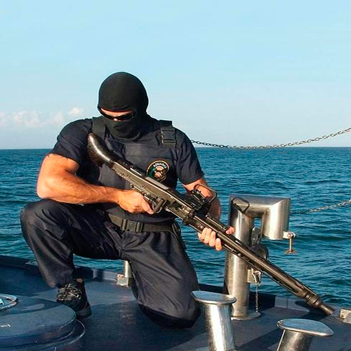 Servicios de vigilancia en buques (especialidad)