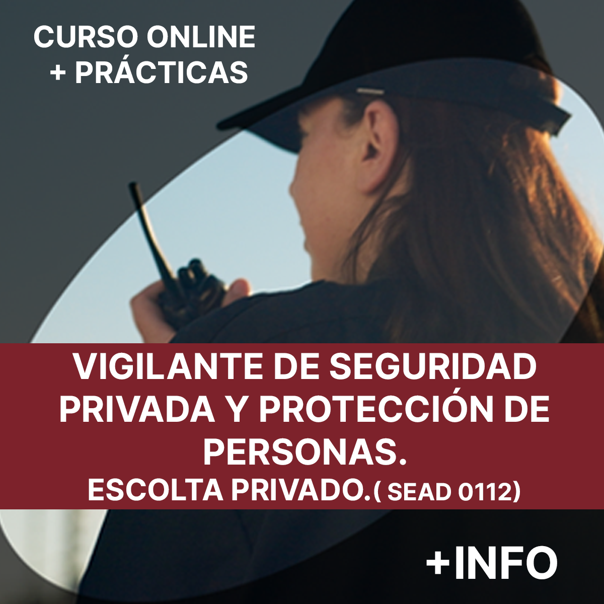 CURSO DE VIGILANTE DE SEGURIDAD Y PROTECCIÓN DE PERSONAS